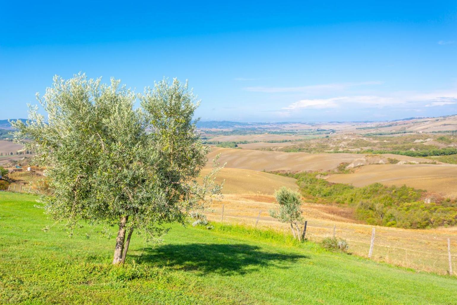 Villa Podere Belvedere Siena Dış mekan fotoğraf